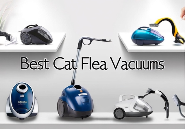 Best Cat Flea Vacuums 2026: 8 Models Tested for Flea Control