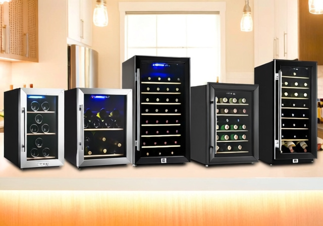 Best Small Wine Refrigerator 2026: 10 Compact Models Tested