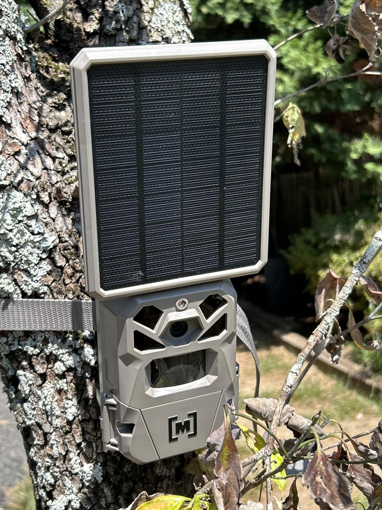 Moultrie Edge Solar Cellular Trail Camera - Integrated Solar, 40MP | Removable Li-ion battery, Scout from Anywhere, HD photos via Mobile app, 1080p video, multi-carrier, night vision customer photo 1