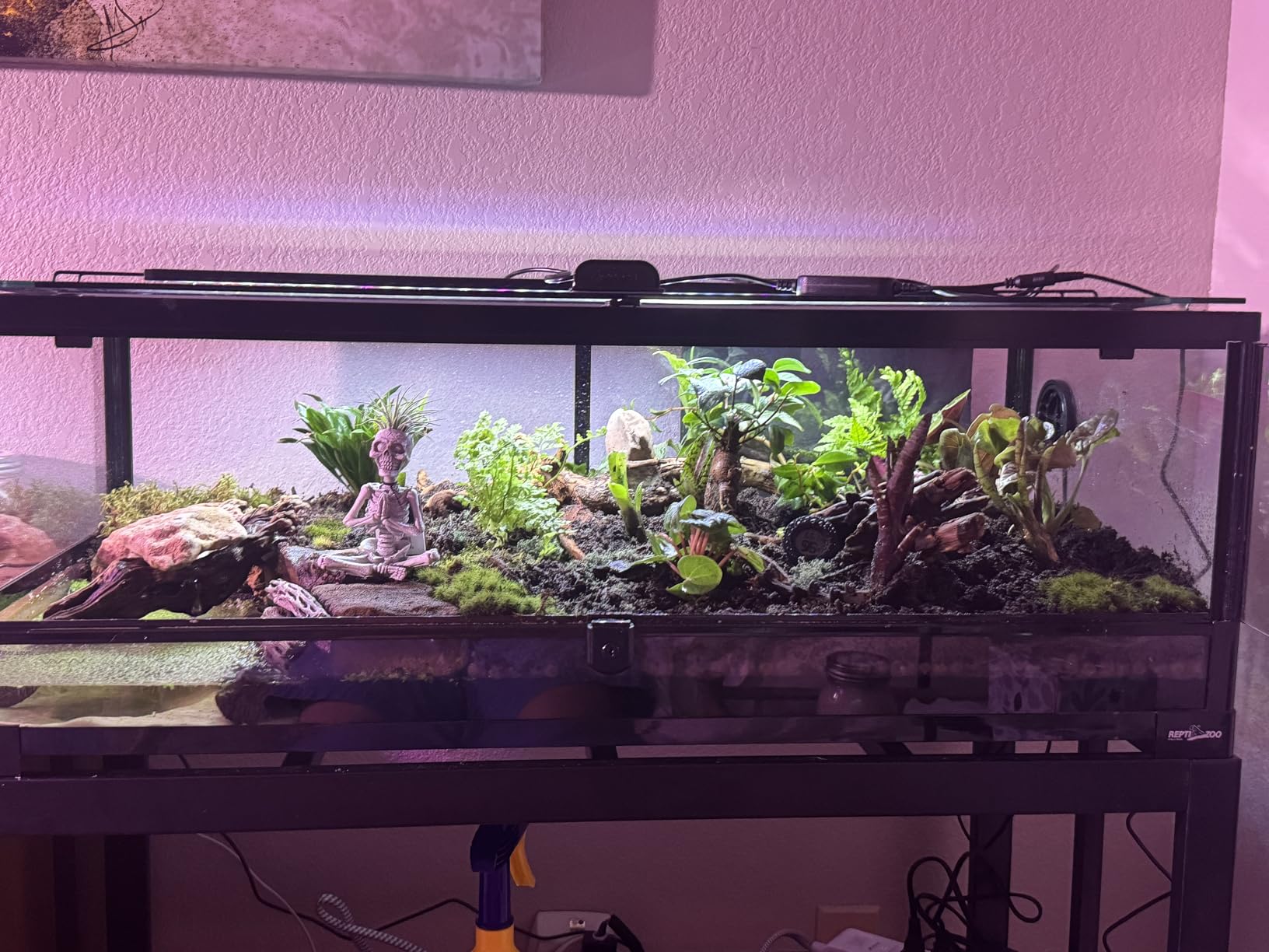 Josh's Frogs 20 Gallon Tropical Vivarium Plant Kit customer photo 2
