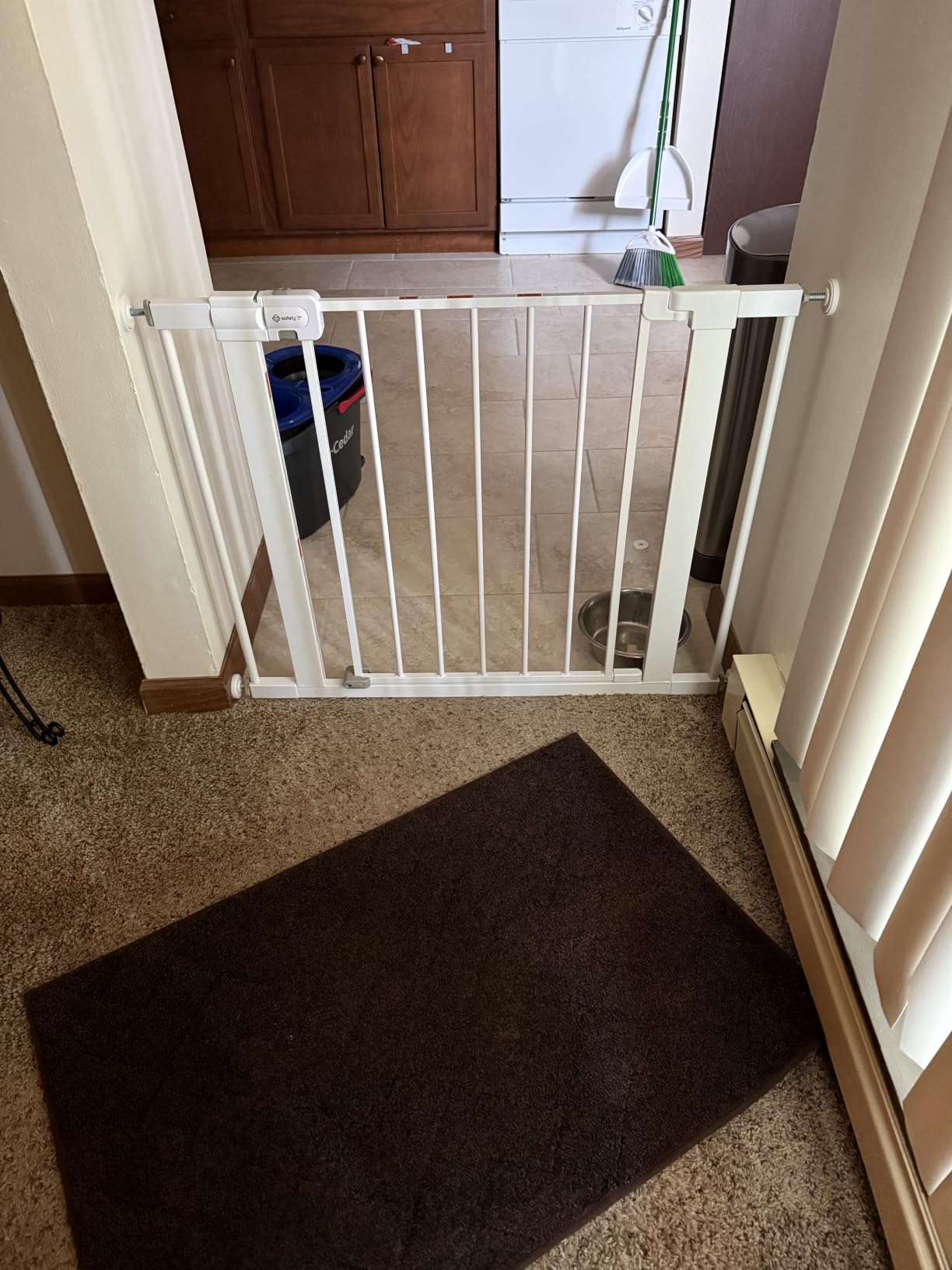 Safety 1st Easy Install Walk Thru Baby Gate for Doorway With Door, Dog Gates, Fits 29
