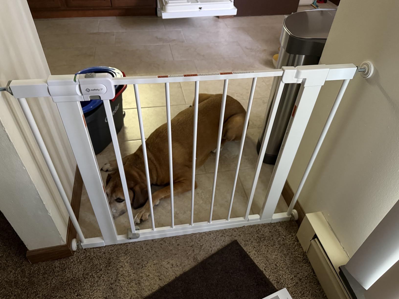 Safety 1st Easy Install Walk Thru Baby Gate for Doorway With Door, Dog Gates, Fits 29