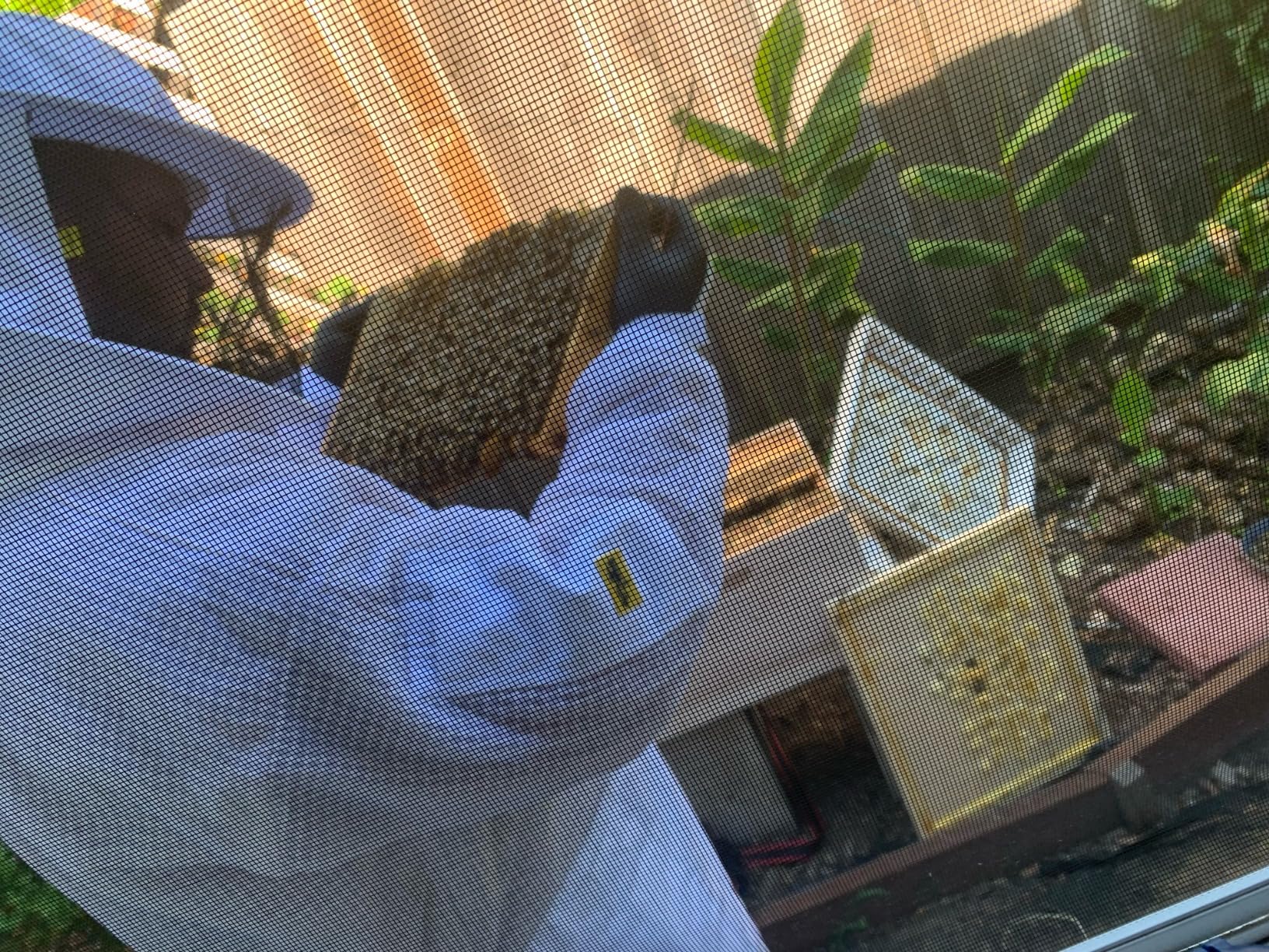 3 Layer Ventilated Bee Suit for Men & Women, Sting Proof Beekeeping Suit with Fencing & Round Veil, Professional Beekeeper Suit & Gear (L) customer photo 1