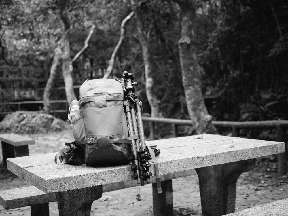 Lowepro LP37014-PWW, Flipside Trek BP 250 AW Backpack for Camera with ActiveZone Suspension System, Tablet Compartment, Grey/Dark Green customer photo 1