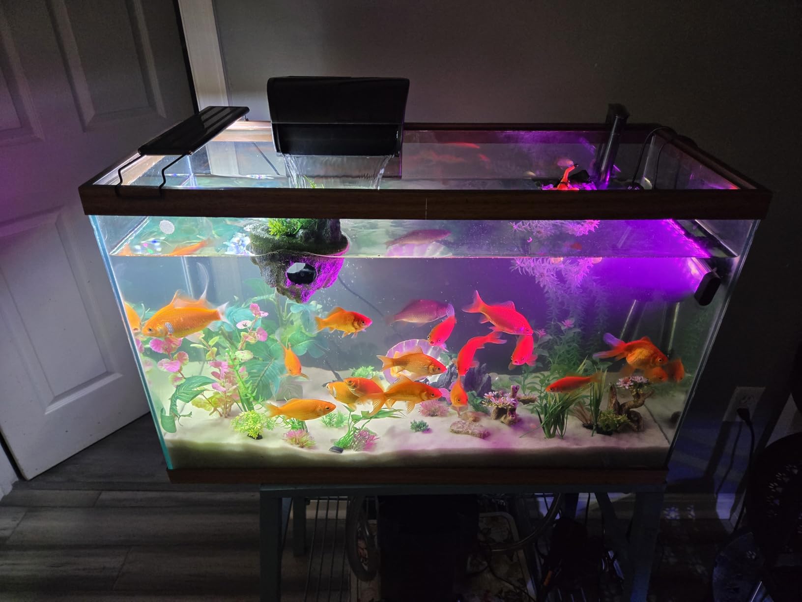 Aqueon QuietFlow Aquarium Fish Tank Canister Filter for 55-100 Gallon Aquariums customer photo 1