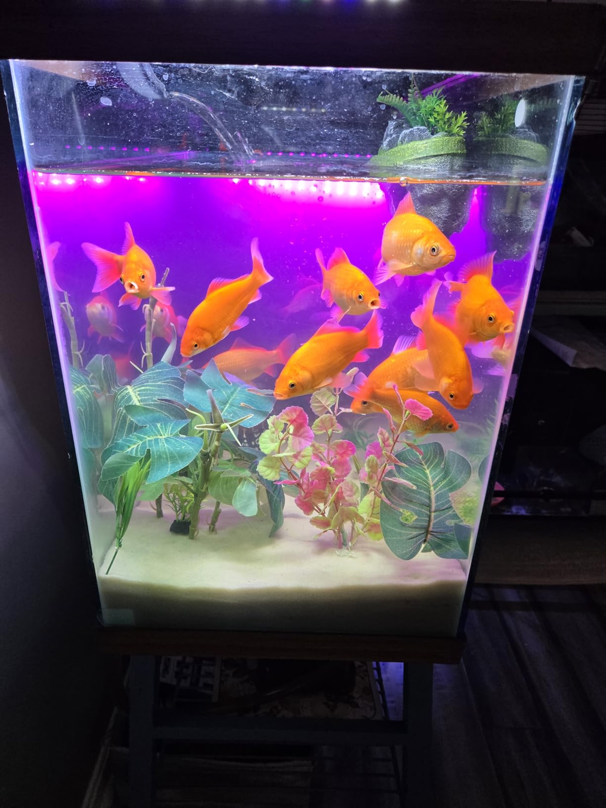 Aqueon QuietFlow Aquarium Fish Tank Canister Filter for 55-100 Gallon Aquariums customer photo 2