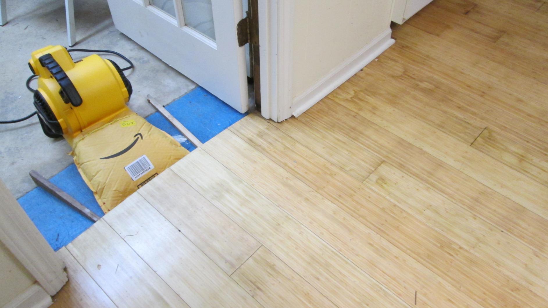 DEWALT Portable Air Mover, 276W 3 Speed Floor Fan, Utility Blower Fan DXAM-2260 customer photo 2