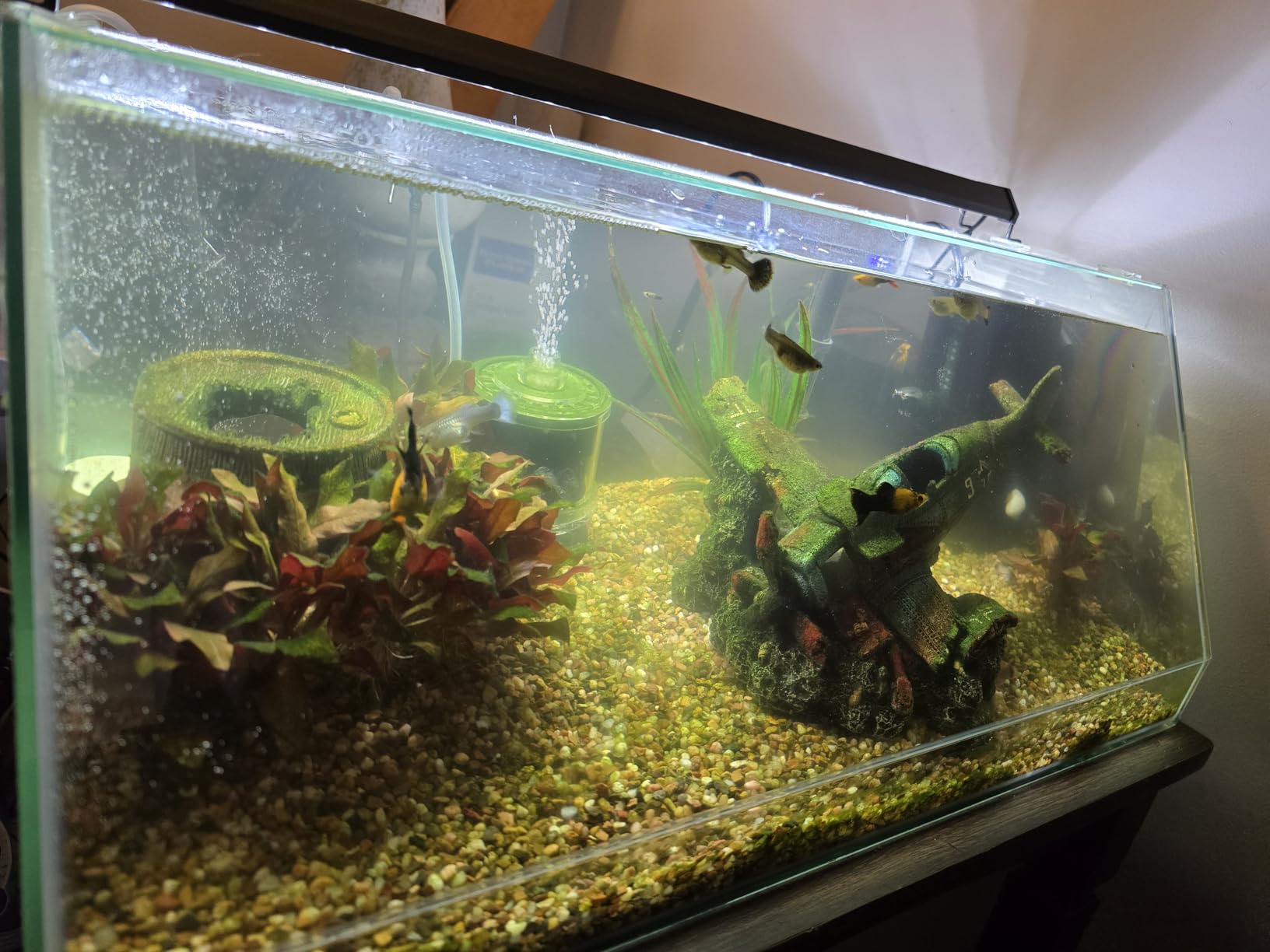 Seachem Tidal Power Aquarium Filter - 35 Gallon Large Fish Tank Filter customer photo 2