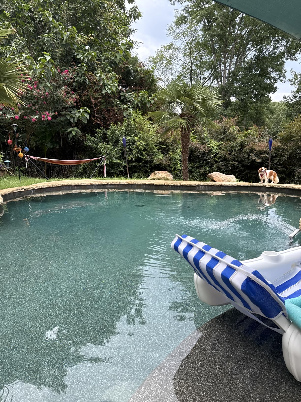Hayward W3T-CELL-15 TurboCell Salt Cell for Pool Chlorination, In-Ground Swimming Pools up to 40,000 Gallons customer photo 1