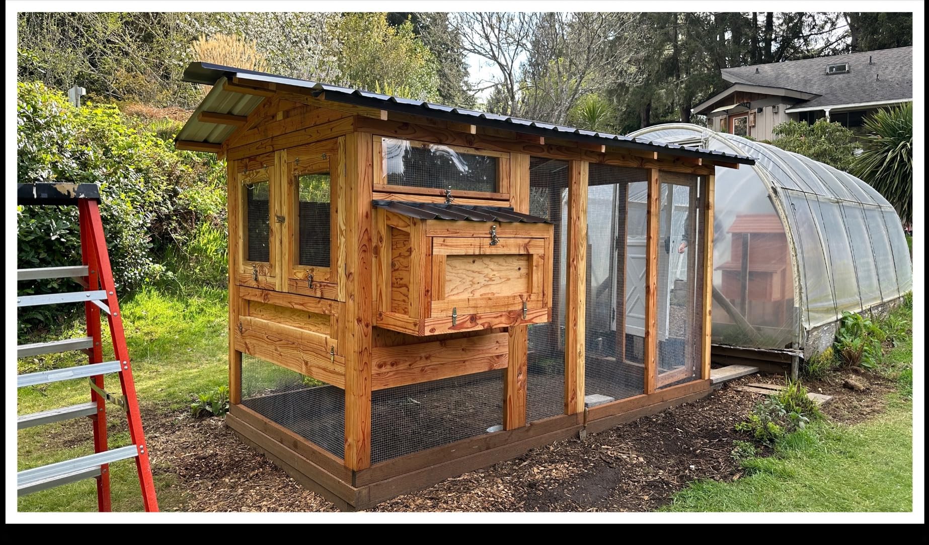 RUN-CHICKEN Door T50 - Automatic Chicken Coop Door Opener, Battery Powered & Weatherproof Aluminum, Smart App & Timer Control, Predator Proof, Easy Install, Reliable All-Season Performance (Brown) customer photo 2
