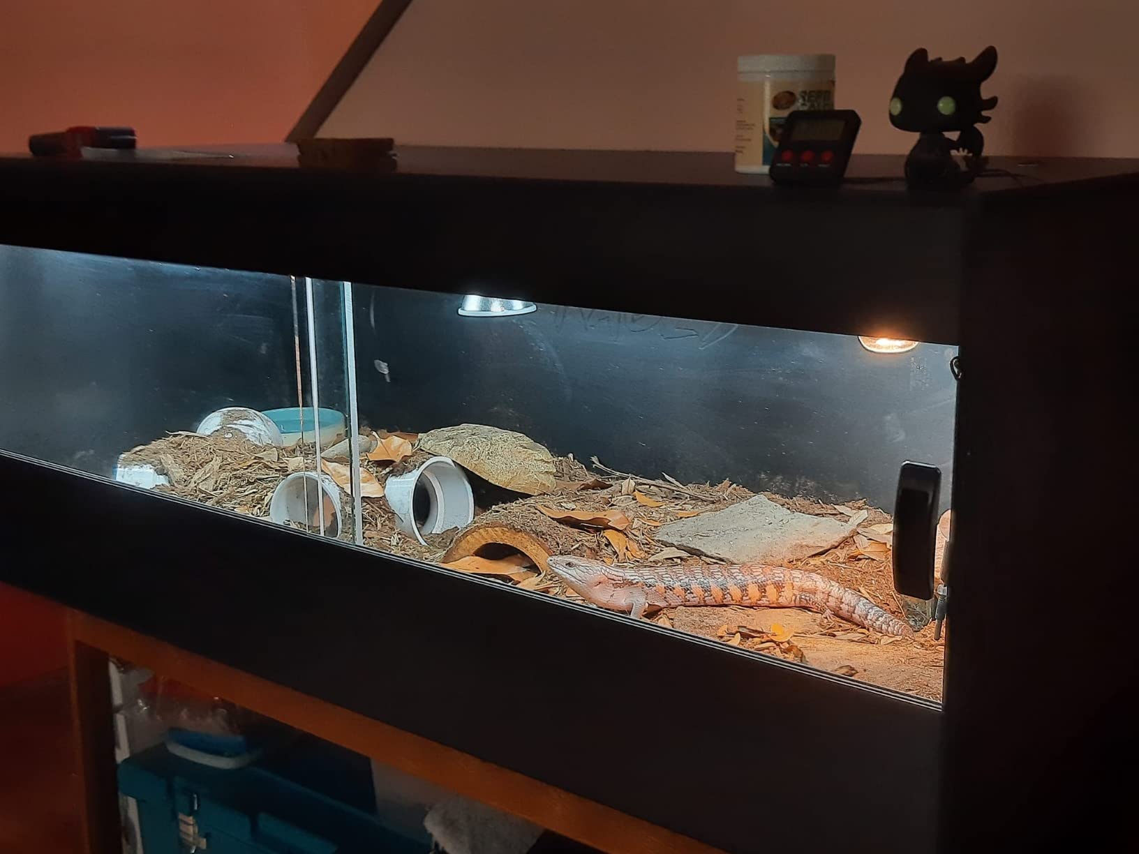 The Bio Dude Terra Firma Reptile Substrate 36 quarts for terrariums and vivariums. Bioactive Habitat Substrate for Ball Pythons, kingsnakes, milksnakes, arachnids and Lizards customer photo 1