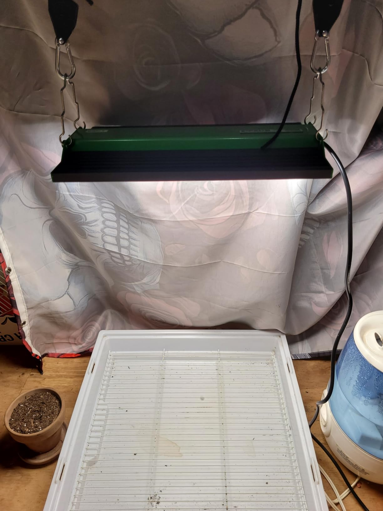 VIPARSPECTRA 100 Watt P1000 LED Grow Light for Seed Starting Vegetables Bloom, Dimmable Daisy Chain, Full Spectrum Lamp for 3x3/2x2 Grow Tent customer photo 2