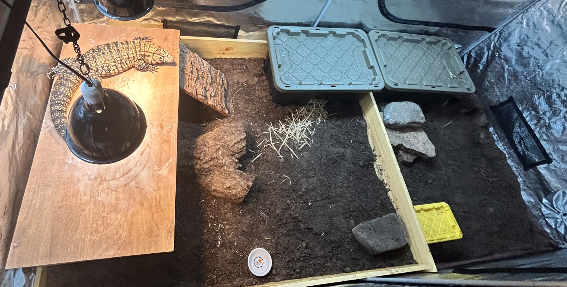 Spider Farmer 5x5 Grow Tent 60