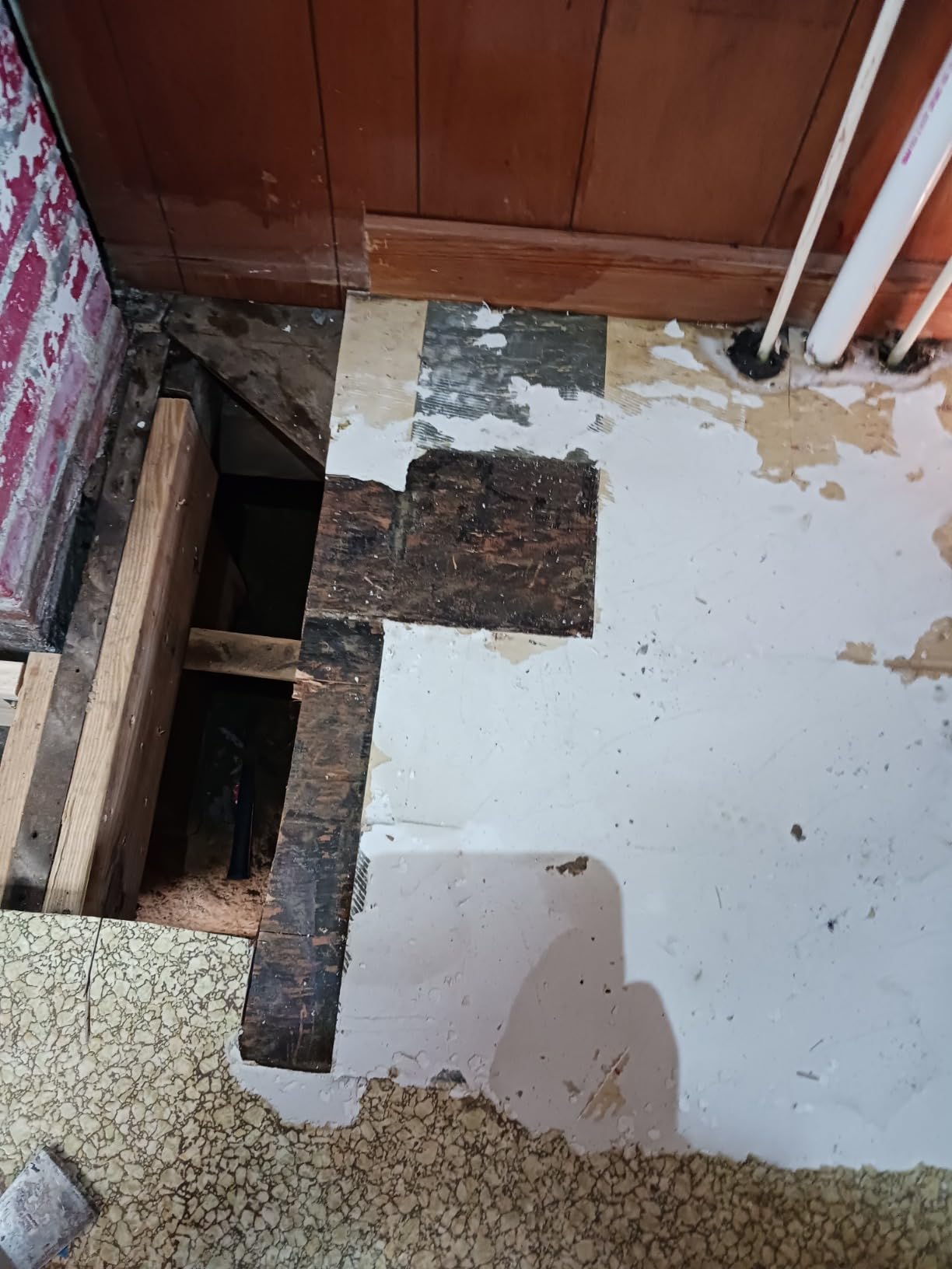 Asbestos Test Kit - Sample Only Testing - 72hr (3 Business Day) NVLAP lab Result with lab Testing fee Included. (1 Samples) customer photo 2