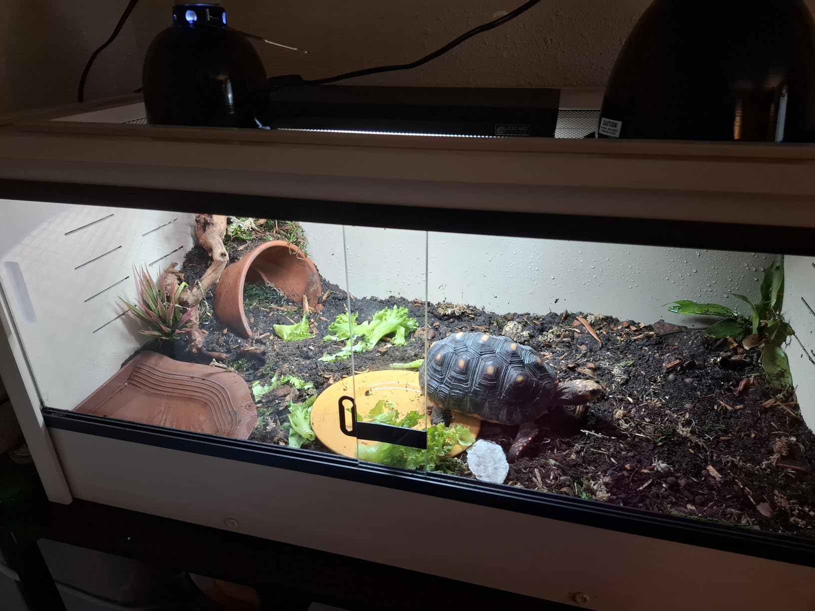 ECOFLEX Small 24