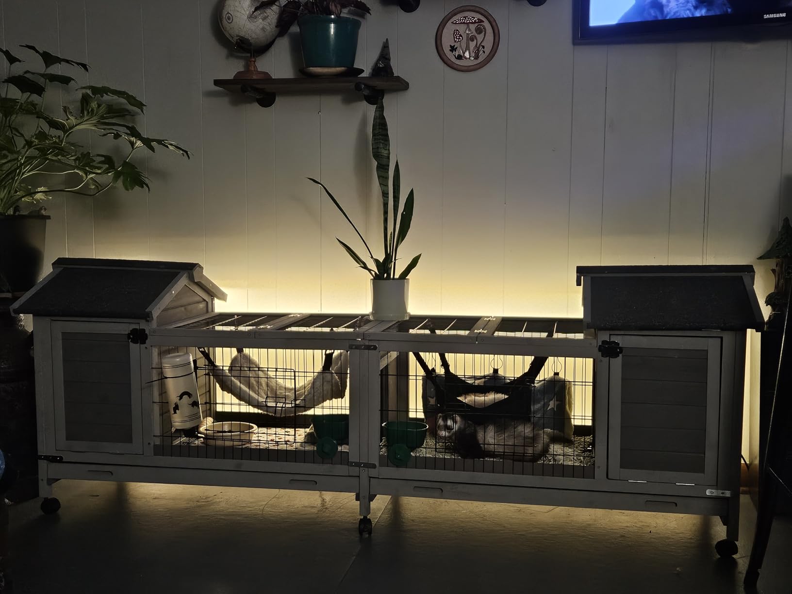Aivituvin Rabbit Hutch Indoor Bunny Cage Outdoor Chicken Coop Rabbit House Bunny Hutch with Deeper Plastic Tray (Grey02 -one Set) customer photo 2