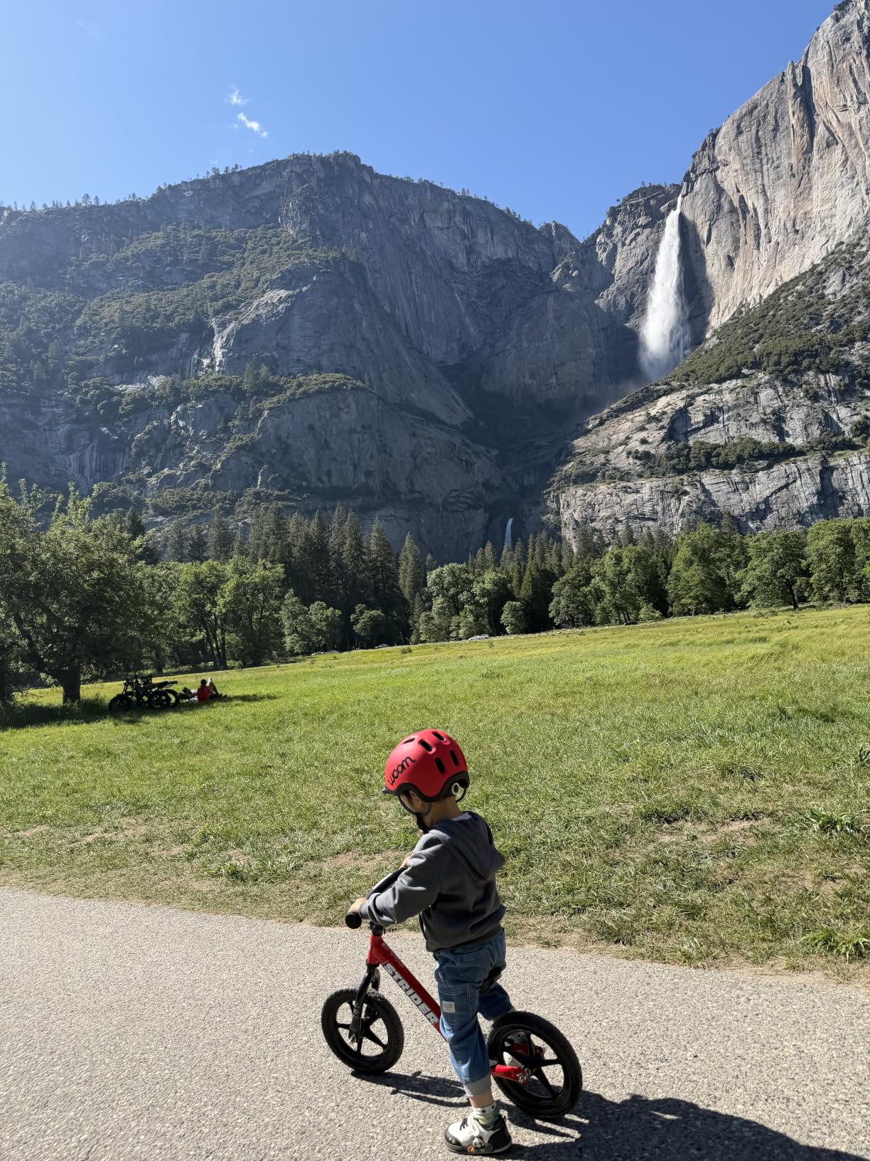 Strider 12 Sport, No Pedal Balance Bike for Kids Ages 1-4 Years, Matte Gray | No-Pedal Balance Bike for Toddlers, Safety Pad, Adjustable Seat and Handlebars, Lightweight Frame, Never-Flat Tires customer photo 1