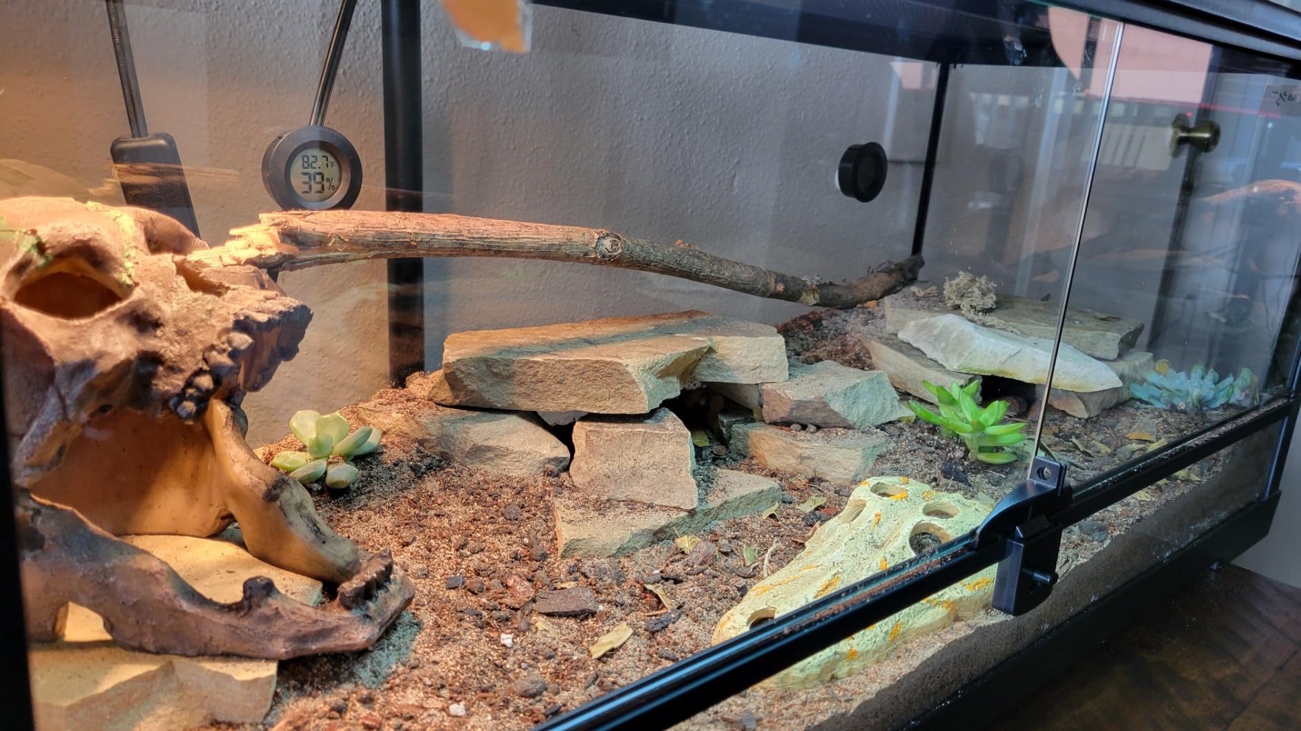 Josh's Frogs BioBedding Desert Bioactive Substrate (10 Quart) customer photo 1