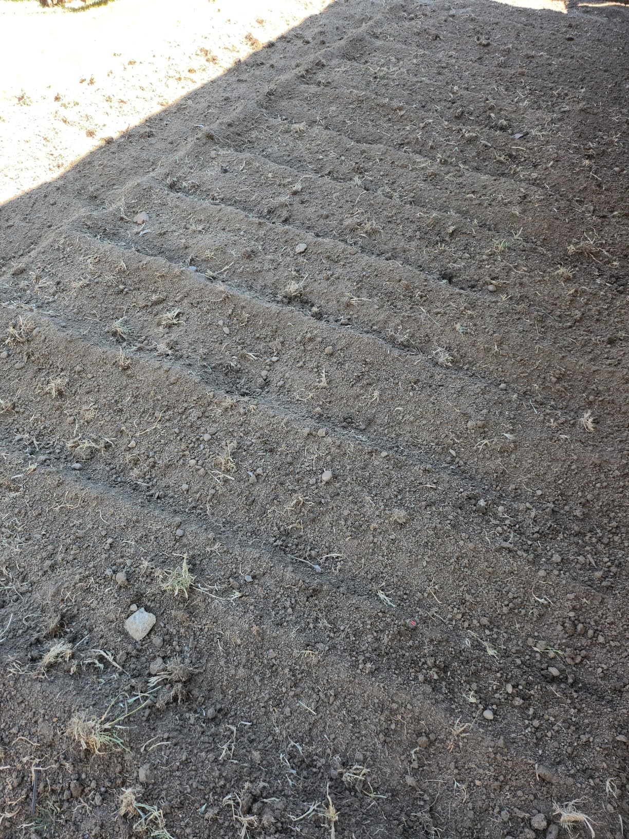 LawnMaster 13.5 Amp 18