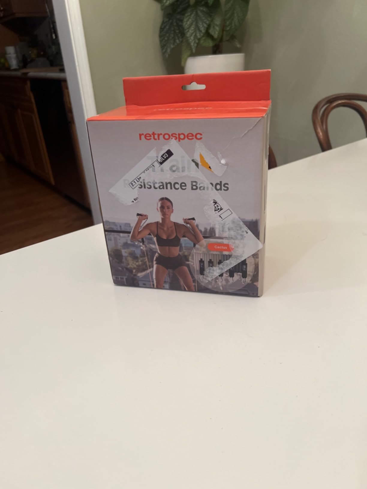 Retrospec Train Resistance Bands Set for Working Out - 5 Stackable Bands, Handles & Door Anchor - Portable Fitness Equipment for Physical Therapy & Yoga Includes Carry Bag customer photo 1