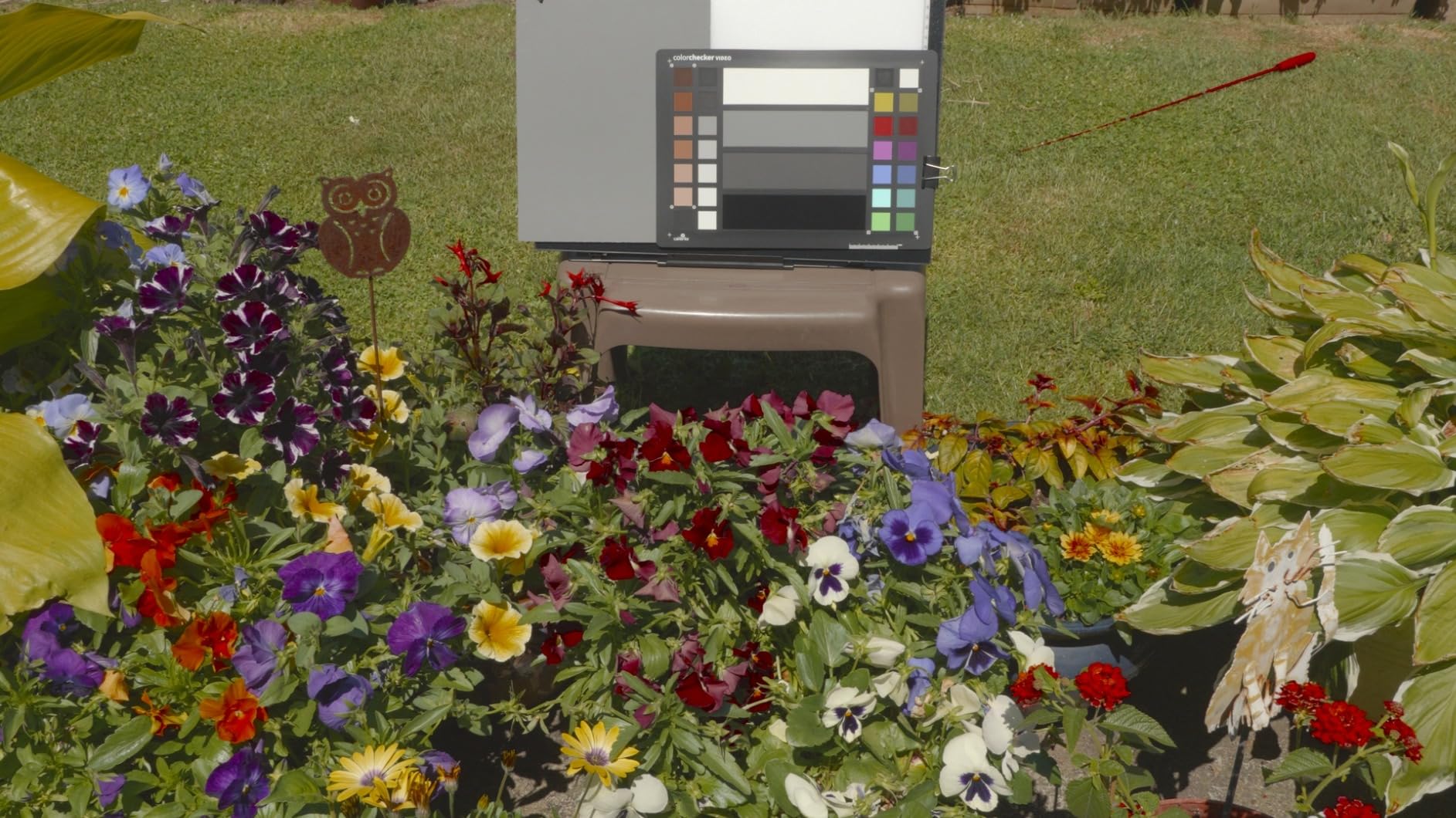 Calibrite ColorChecker Video Color Target w/White Balance Reference for Video Production customer photo 1