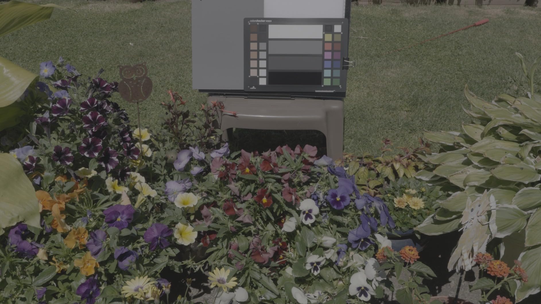 Calibrite ColorChecker Video Color Target w/White Balance Reference for Video Production customer photo 2