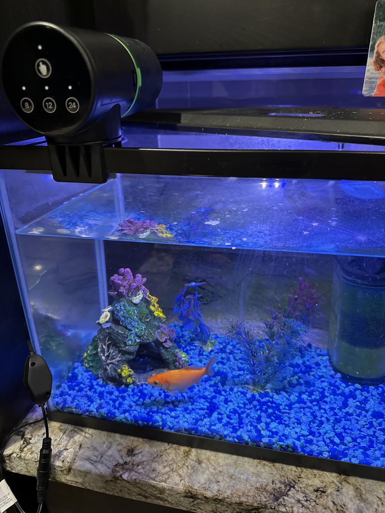 Freesea Automatic Fish Feeder for Aquarium: 3 Timers & One-Touch Easy Setup - 7-14 Day Supply with 200ML Food Dispenser - Worry-Free Vacation Feeding for Betta Turtle Tank customer photo 2
