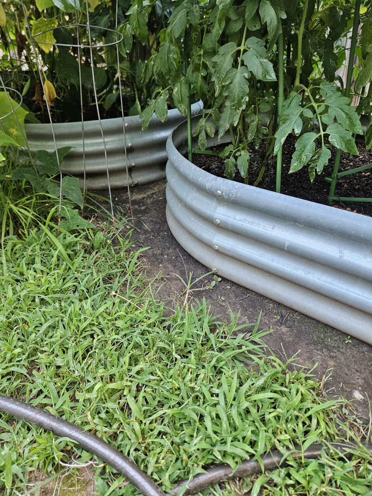 Land Guard Galvanized Raised Garden Bed Kit, Galvanized Planter Garden Boxes Outdoor, Oval Large Metal Raised Garden Beds for Vegetables customer photo 1