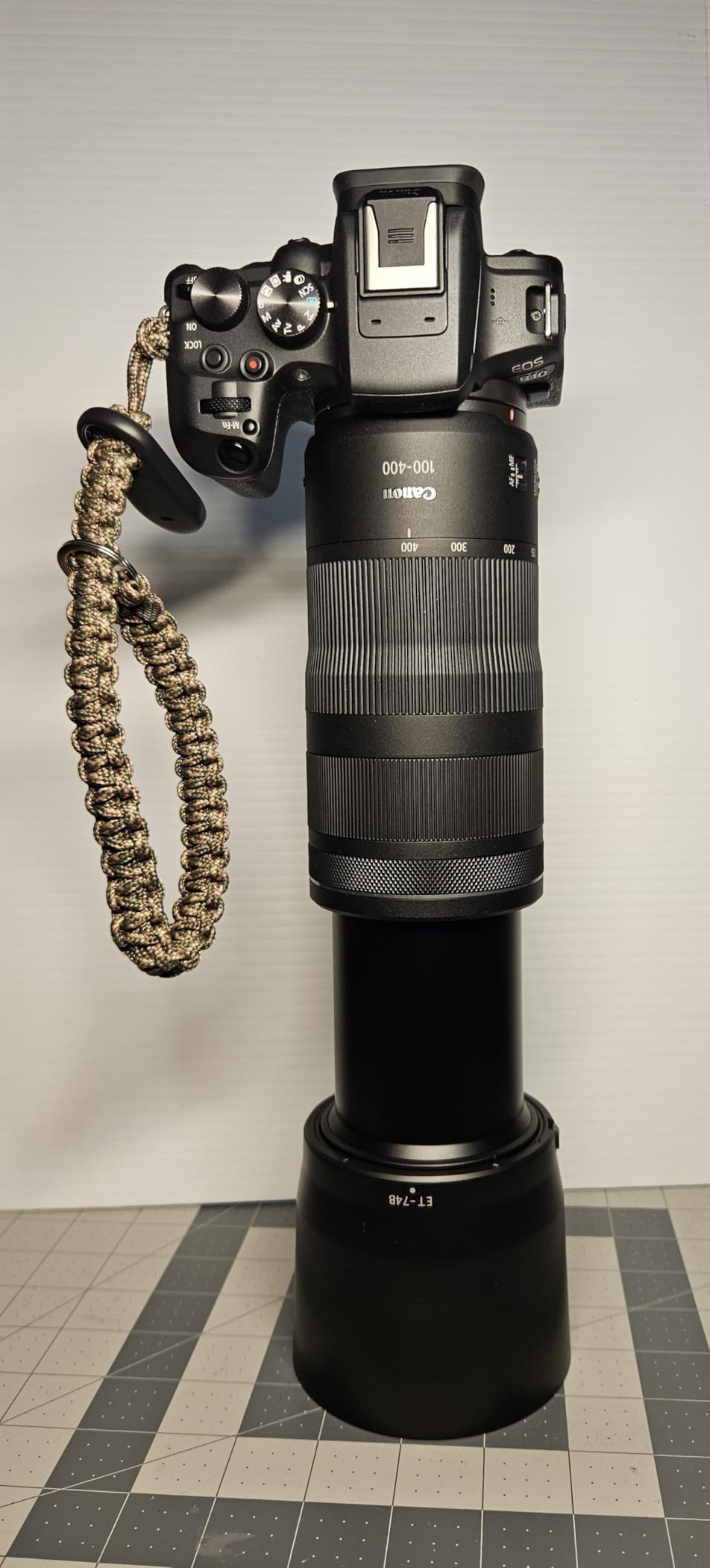 Canon RF100-400mm F5.6-8 IS USM Telephoto Lens customer photo 2