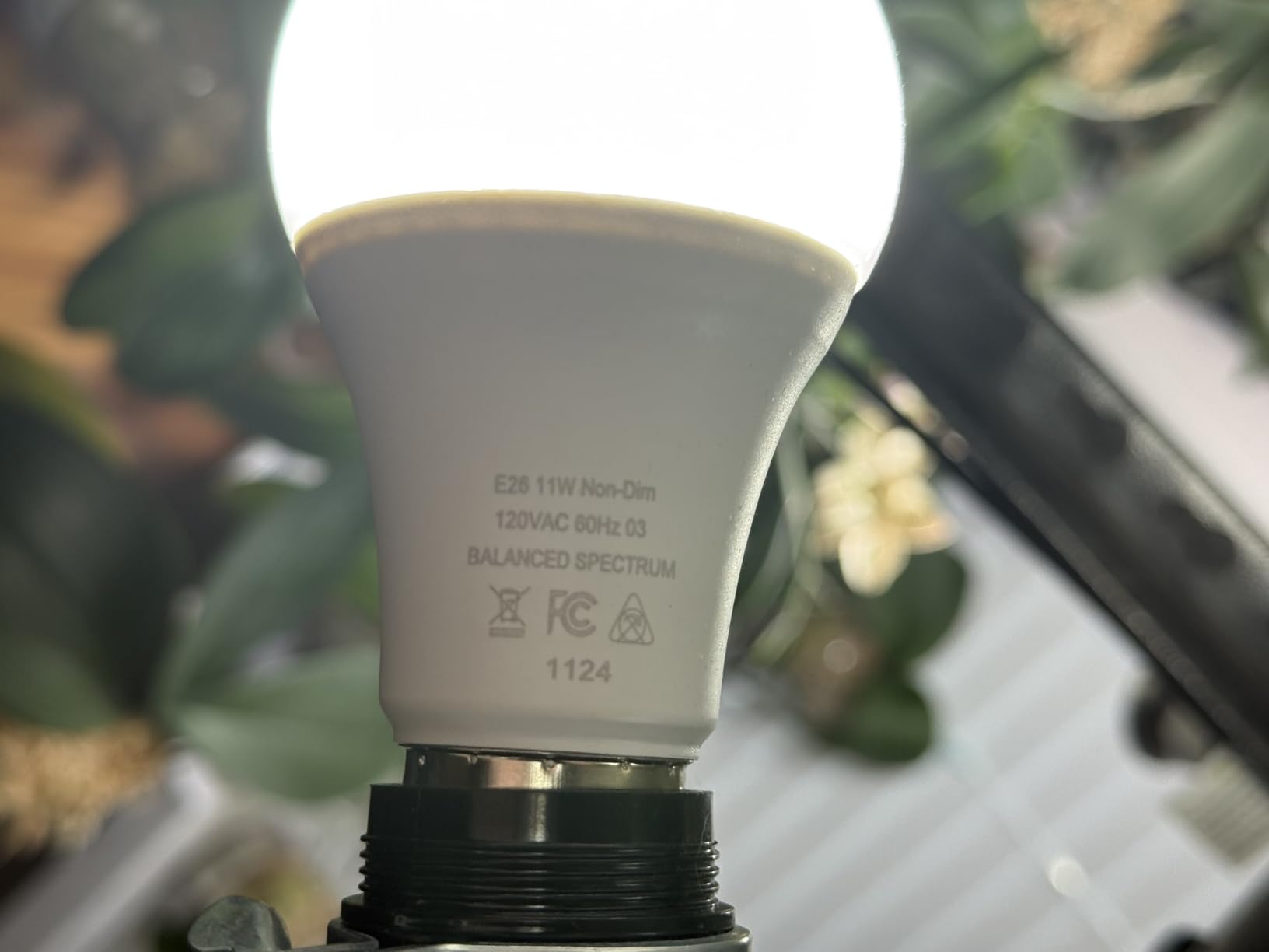 Grow Light Bulbs, Full Spectrum Grow Light Bulb, LED Grow Bulb A19, Plant Light Bulbs E26, 11W Grow Bulb 100W Equivalent, Grow Light for Indoor Plants, Seed Starting, 3 Pack customer photo 2