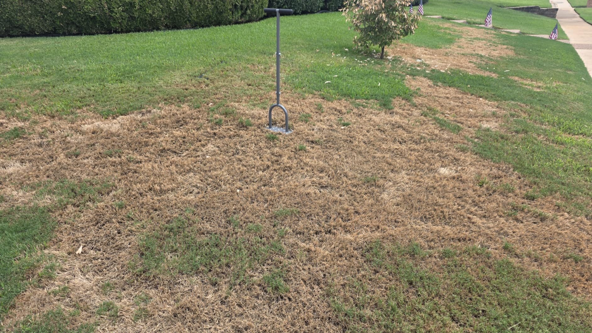 Walensee Manual Lawn Aerator Tool with 15 Iron Spikes, Garden Spike Aerator | Patented grass aerator creates small holes for easier lawn aeration and healthier roots. customer photo 1