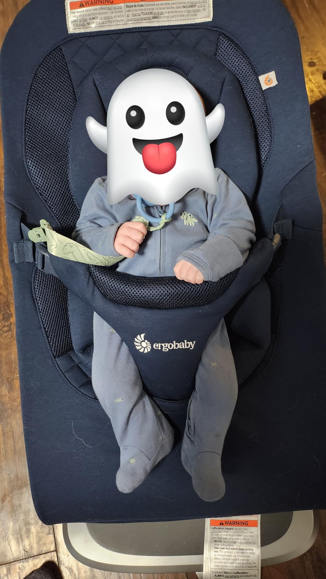 Ergobaby Evolve 3-in-1 Bouncer Seat for Babies and Toddlers 5.5-25 lbs customer photo 2