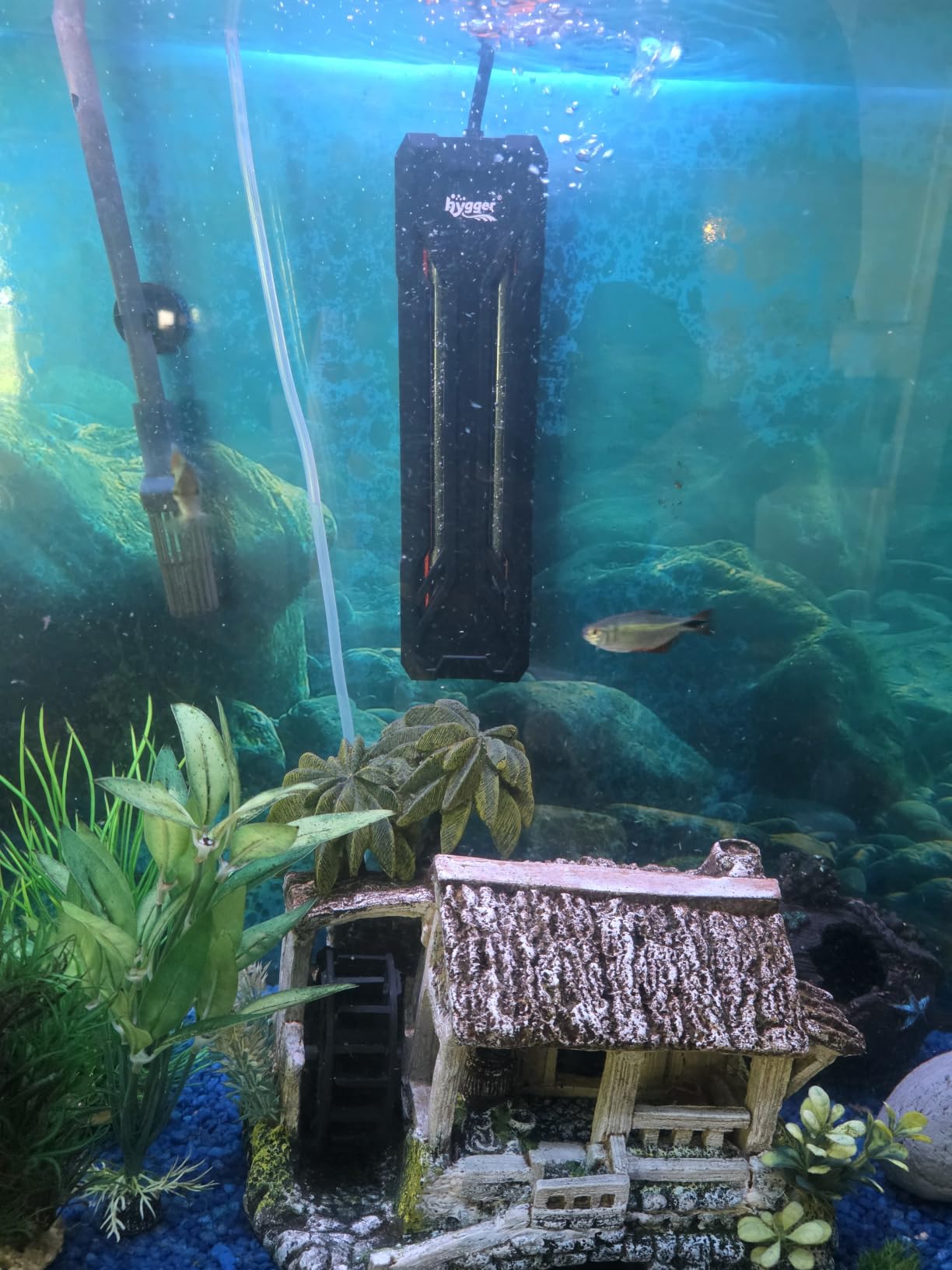 hygger Aquarium Heater 300W/500W/800W/1000W, Submersible Fish Tank Heater with Digital LED Controller and Intelligent Leaving Water Automatically Stop Heating System, for Freshwater and Saltwater customer photo 1