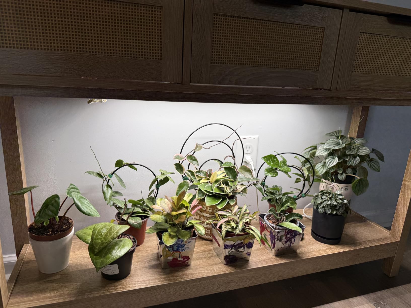 Barrina T5 Grow Lights for Indoor Plants, 5000K Full Spectrum, 1FT, 4 Packs, 1FT LED Growing Lamp, Plant Light Strip for Seed Starting, Vegetables and Greens, Plug and Play, Linkable customer photo 1
