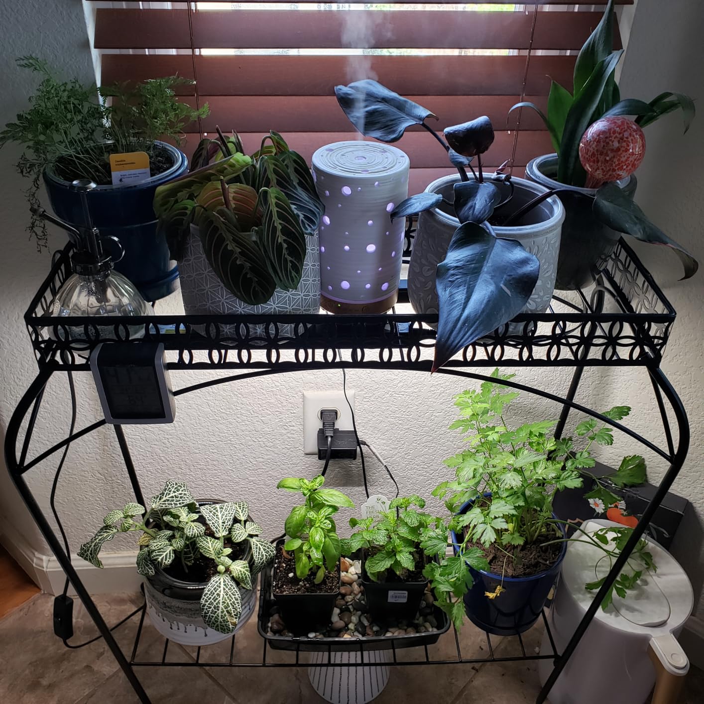 Barrina T5 Grow Lights for Indoor Plants, 5000K Full Spectrum, 1FT, 4 Packs, 1FT LED Growing Lamp, Plant Light Strip for Seed Starting, Vegetables and Greens, Plug and Play, Linkable customer photo 2