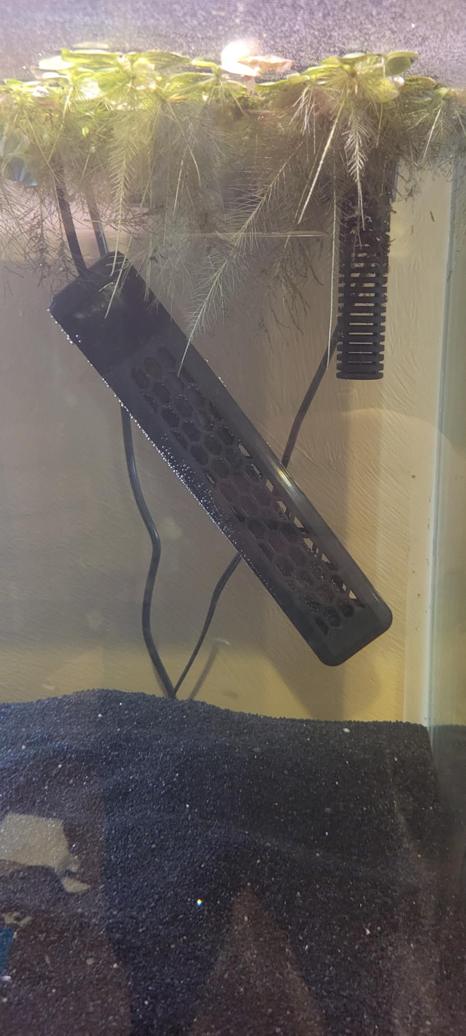 HITOP 200W Aquarium PTC Heater with Controller: Digital Heater for Fish Tank and Turtle Tank 25-60Gallon, Sturdy Heater with Removable Protective Cover customer photo 1