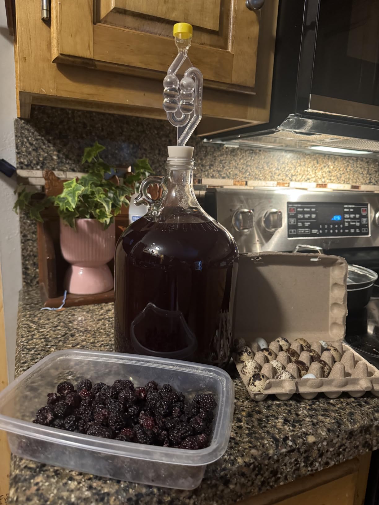 North Mountain Supply Fermenting Jug Starter Kit, 1 Gallon | Home Brewing, Starter Kit, Wine, Beer Brewing For Beginners, Jug With Handle, Airlock, Yeast customer photo 1