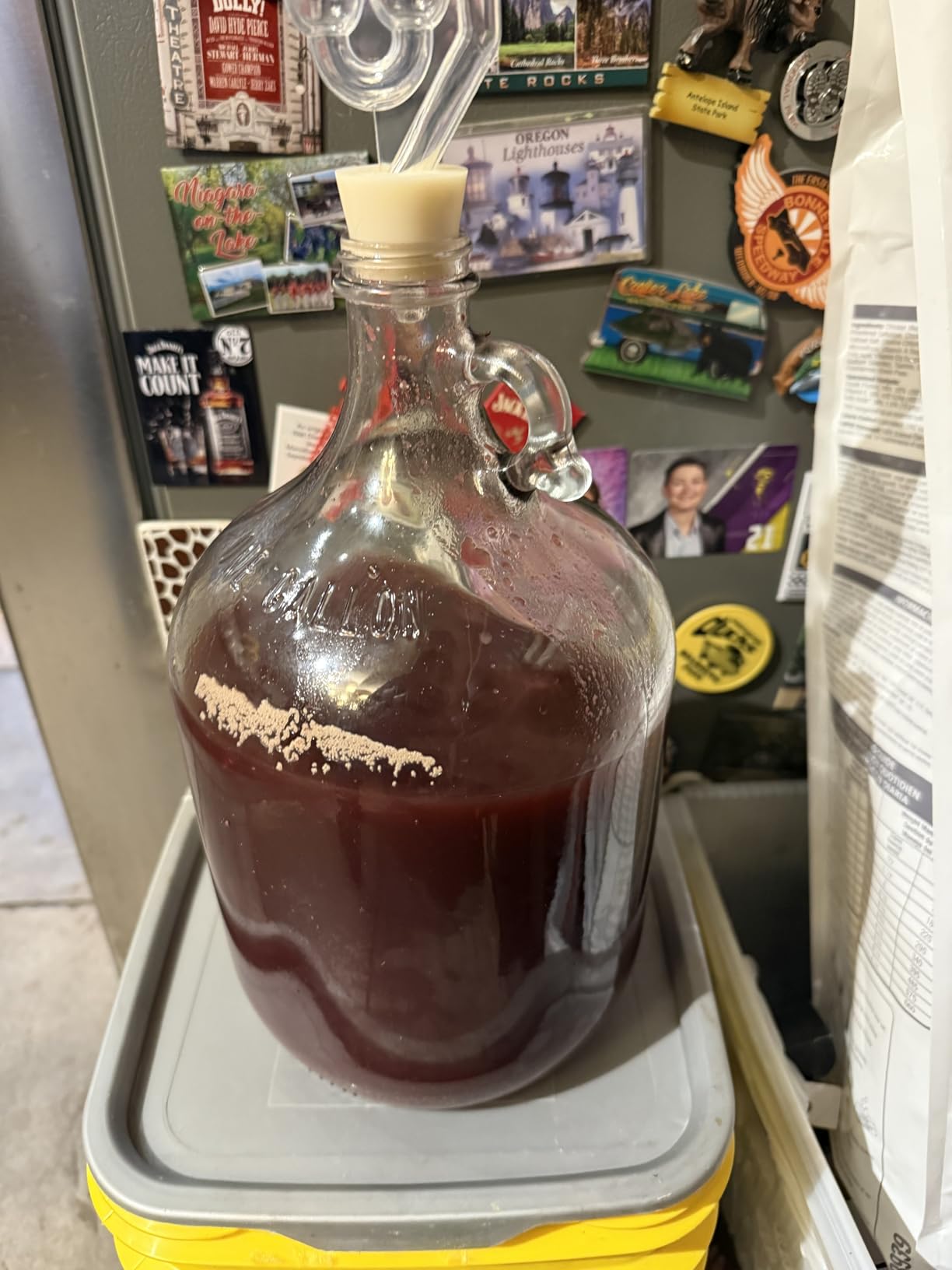 North Mountain Supply Fermenting Jug Starter Kit, 1 Gallon | Home Brewing, Starter Kit, Wine, Beer Brewing For Beginners, Jug With Handle, Airlock, Yeast customer photo 2