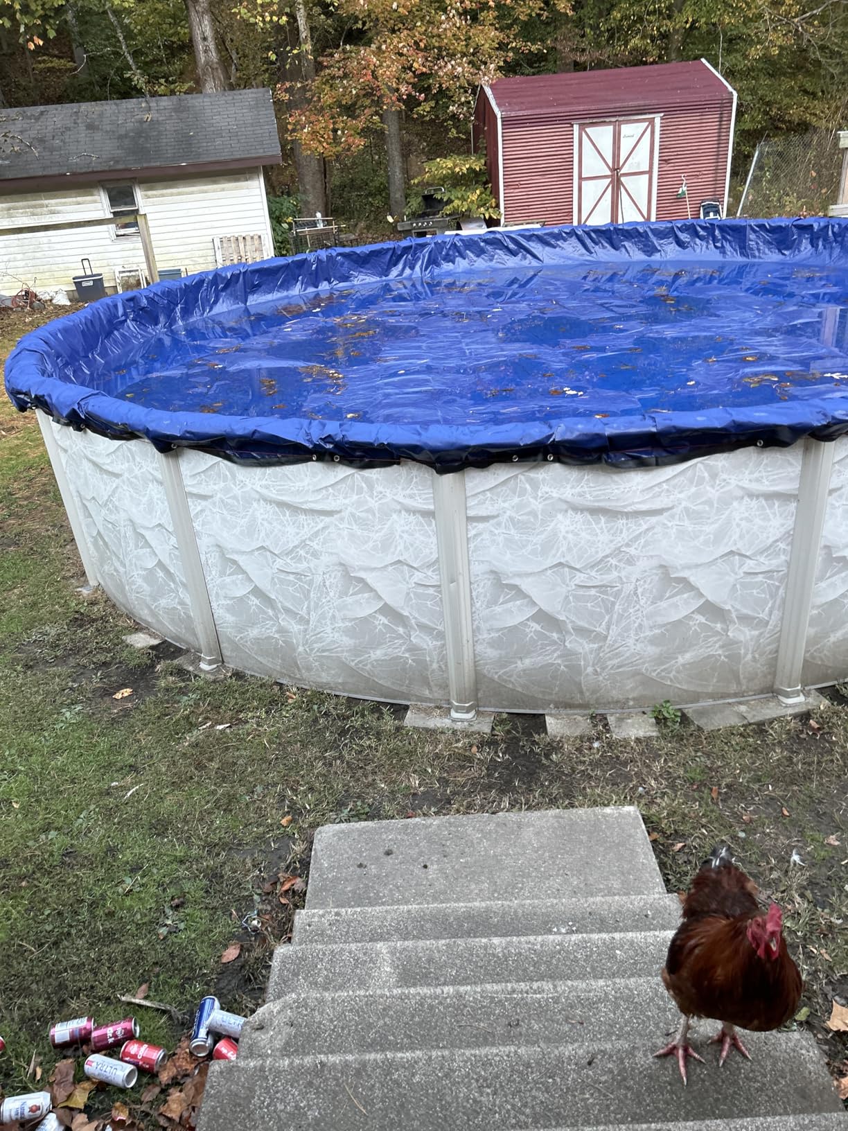 24 Ft Round Premium Heavy-Duty Winter Pool Cover - Royal Blue, Extra Thick and Durable, Tear-Proof, UV-Resistant, Reinforced Edges, Easy Install, All-Season Protection for Above Ground Pools customer photo 1