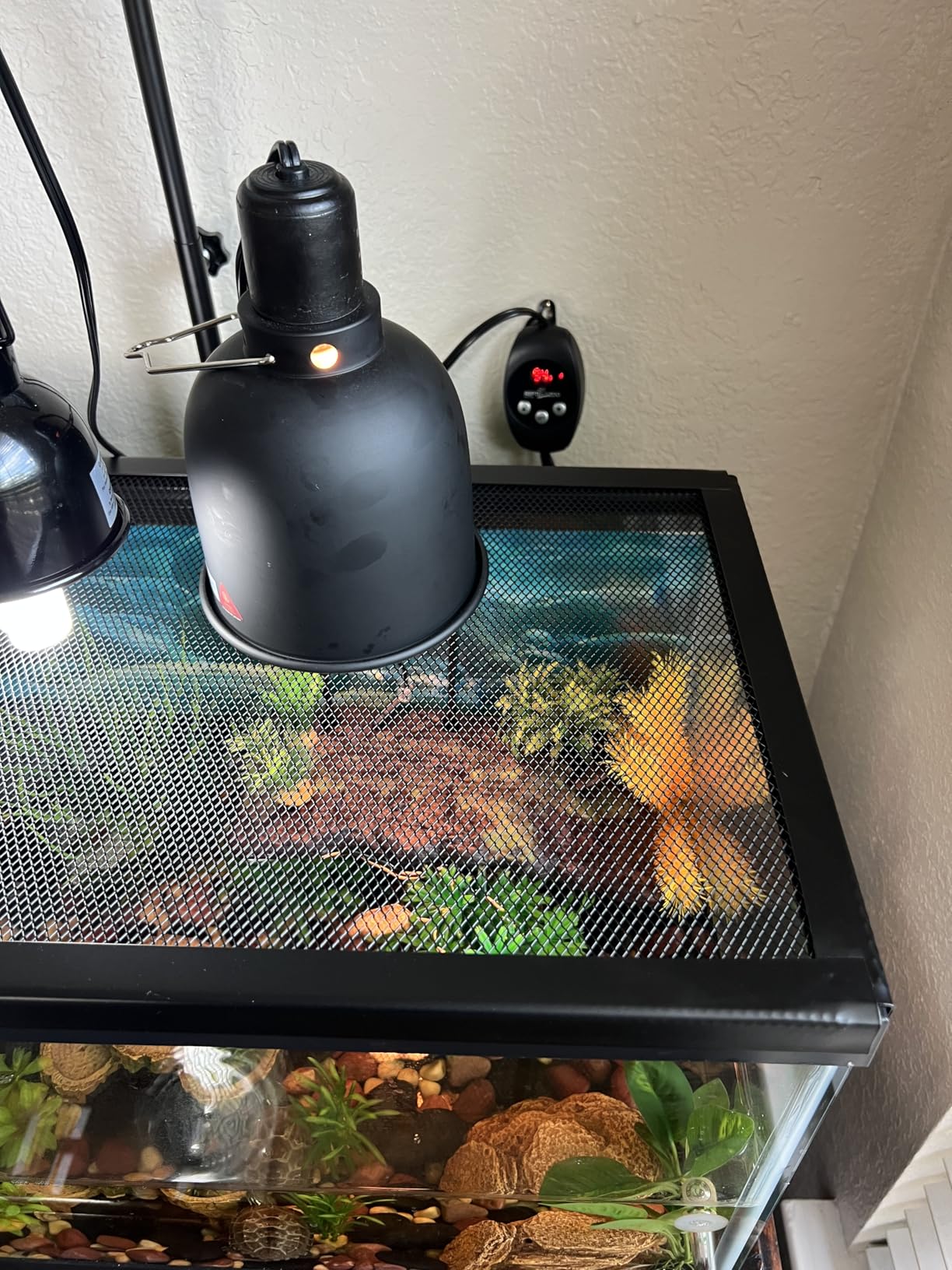 REPTI ZOO Reptile Light Fixture with Dimming Thermostat, 5.5 Inch Deep Dome Lamp Fixture customer photo 1