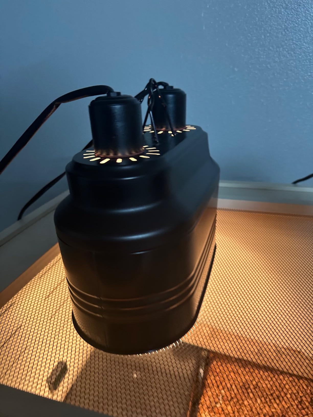 Fluker's Deep Thermal Heat Lamp for Reptiles with Carbon Infrared Technology, 75 Watt customer photo 2