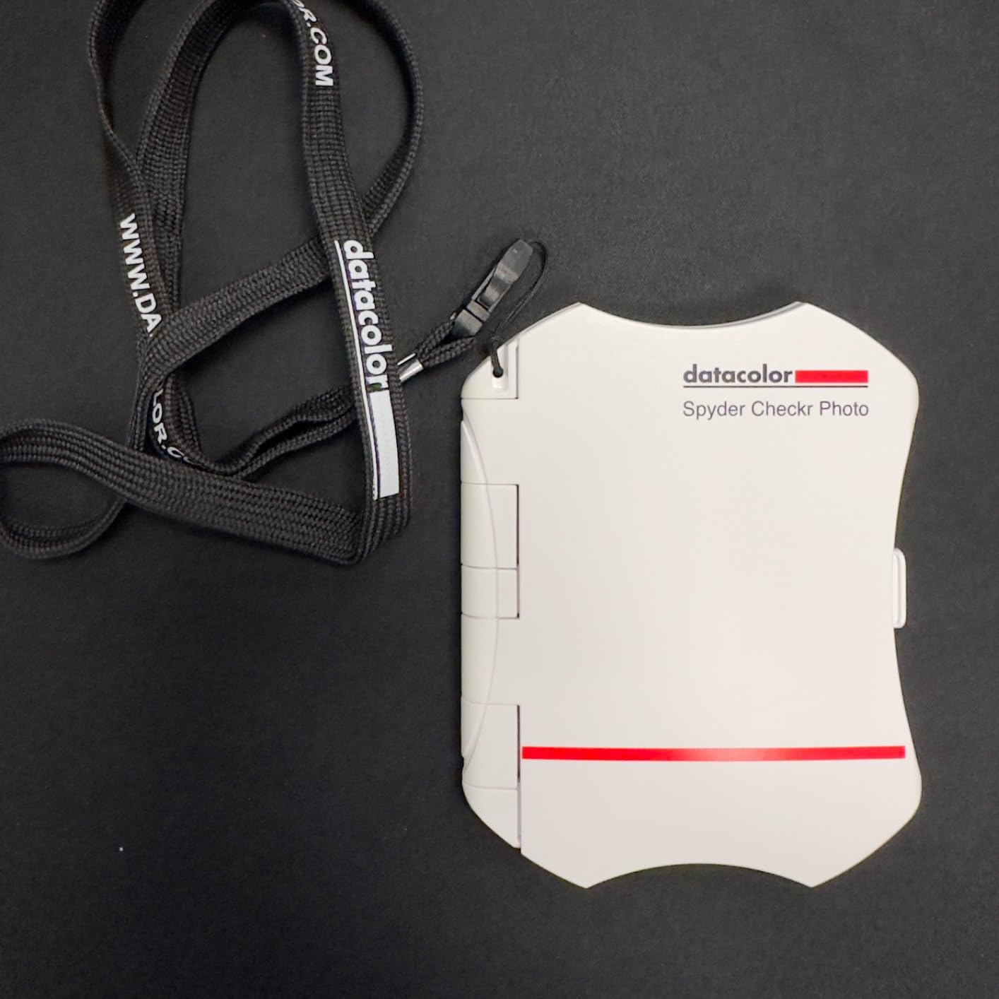 Datacolor SpyderCheckr Photo Color Checker Chart with 62 Color Targets customer photo 1