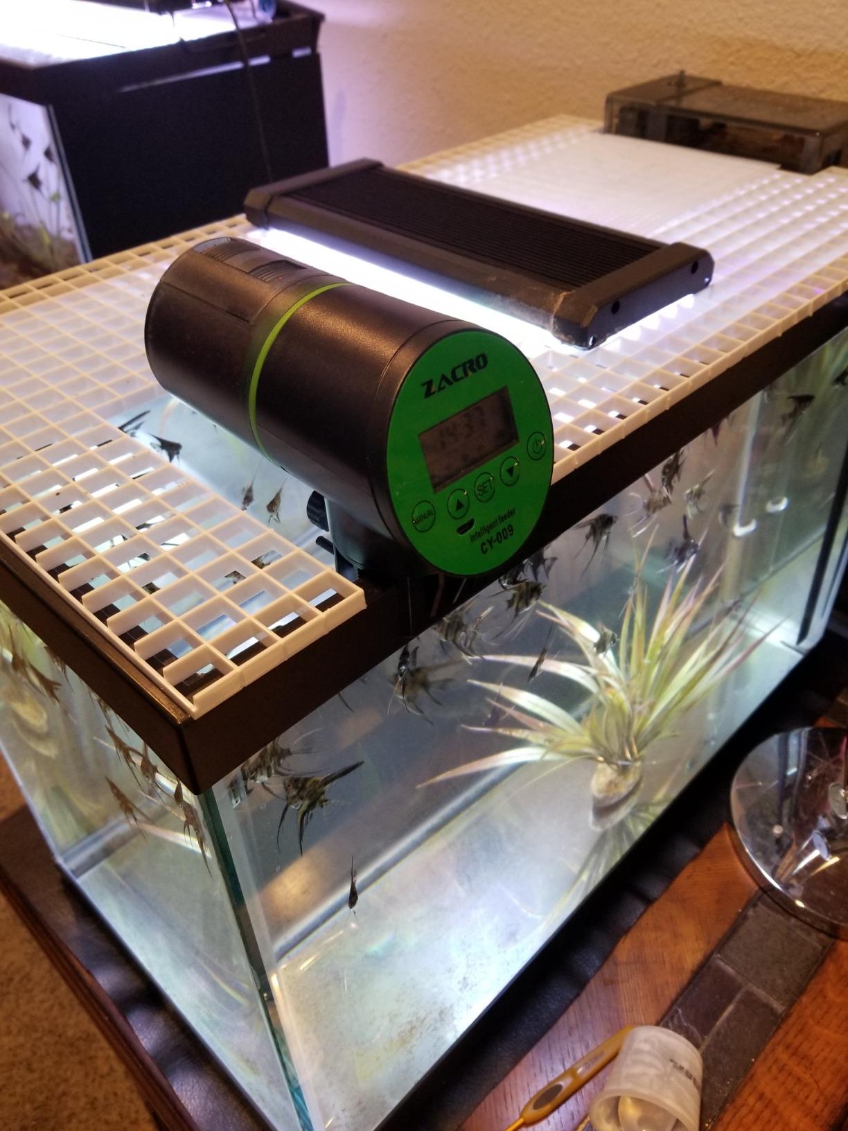 Automatic Fish Feeder - Rechargeable Timer Fish Feeder with USB Charger Cable, Fish Food Dispenser for Aquarium or Fish Tank customer photo 2