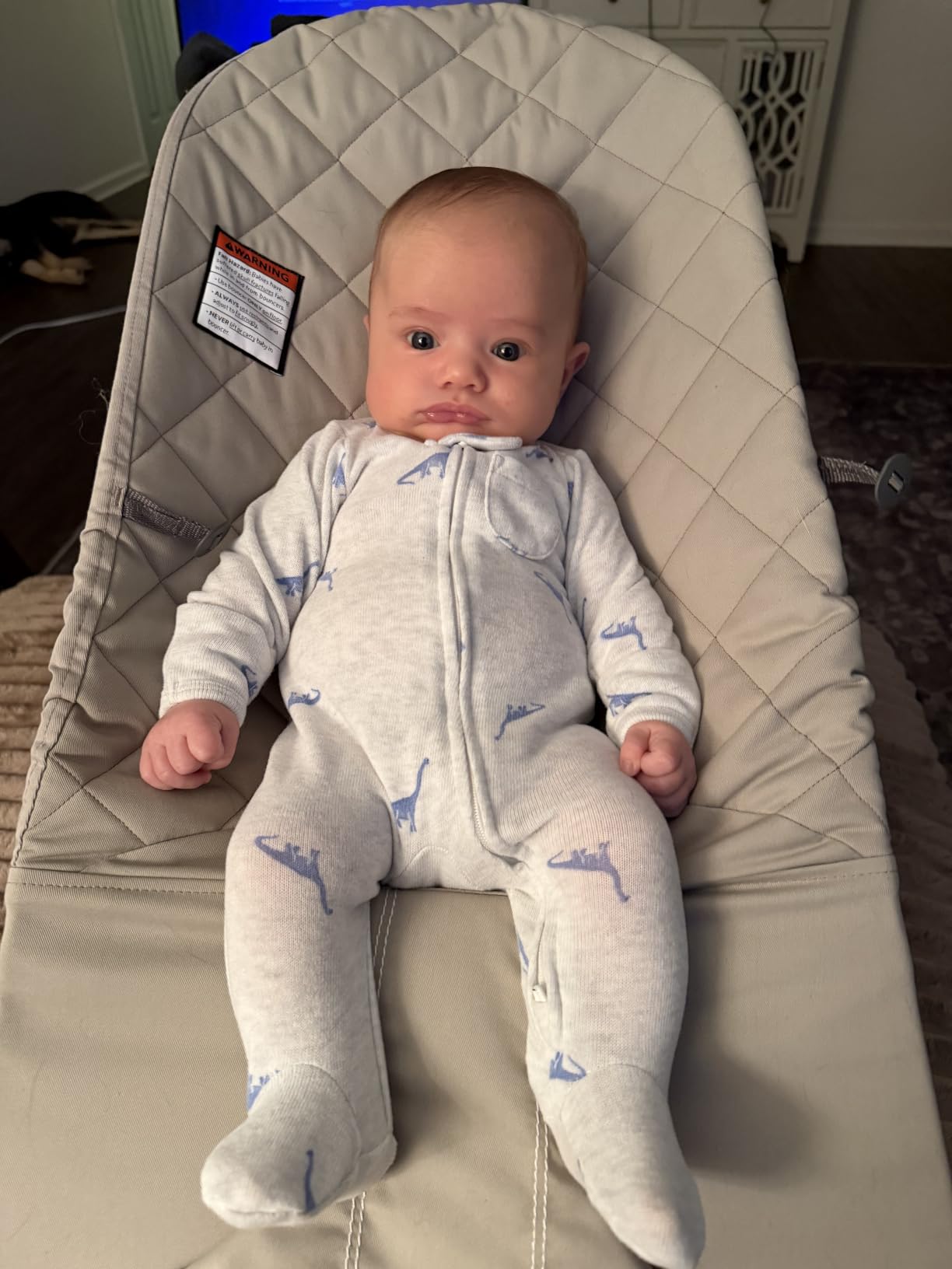 BabyBjorn Bouncer Bliss, Midnight Blue, Woven, Classic Quilt | 2-in-1 Adjustable Baby Bouncer Seat and Toddler Chair, Newborn to Toddler (8-29 lbs), 4 Positions, Lightweight & Portable customer photo 2