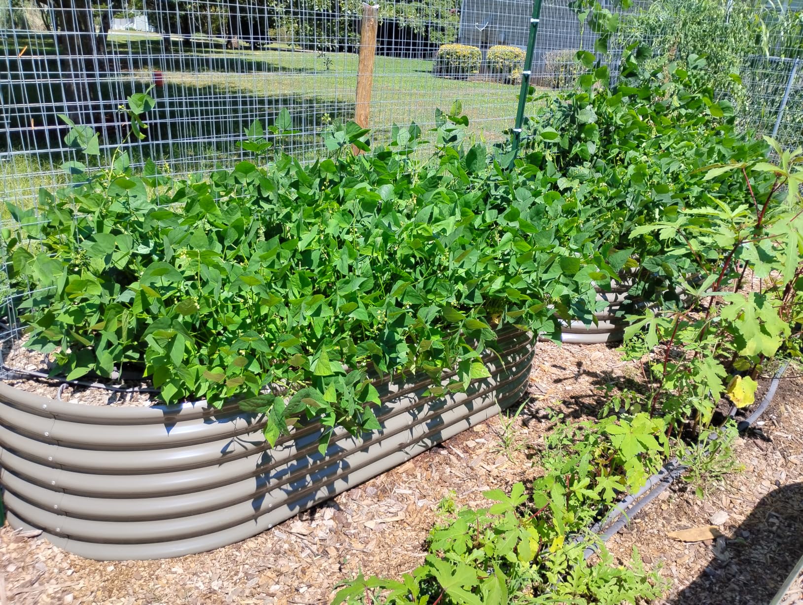 ANLEOLIFE 8x4x2ft Galvanized Raised Garden Bed Kit, Oval Metal Deep Root Planters for Outdoor Plants Vegetables Flowers Herb, Large Bottomless, 478 Gallon Capacity- Quartz Grey customer photo 2