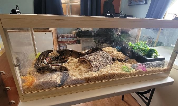 Prolee 81 Gallon Reptile Terrarium Tank 48 Inch Lizard Tank Bearded Dragon Tank with Metal Mesh Roof Door, Snake Tank with Lock Design, 48