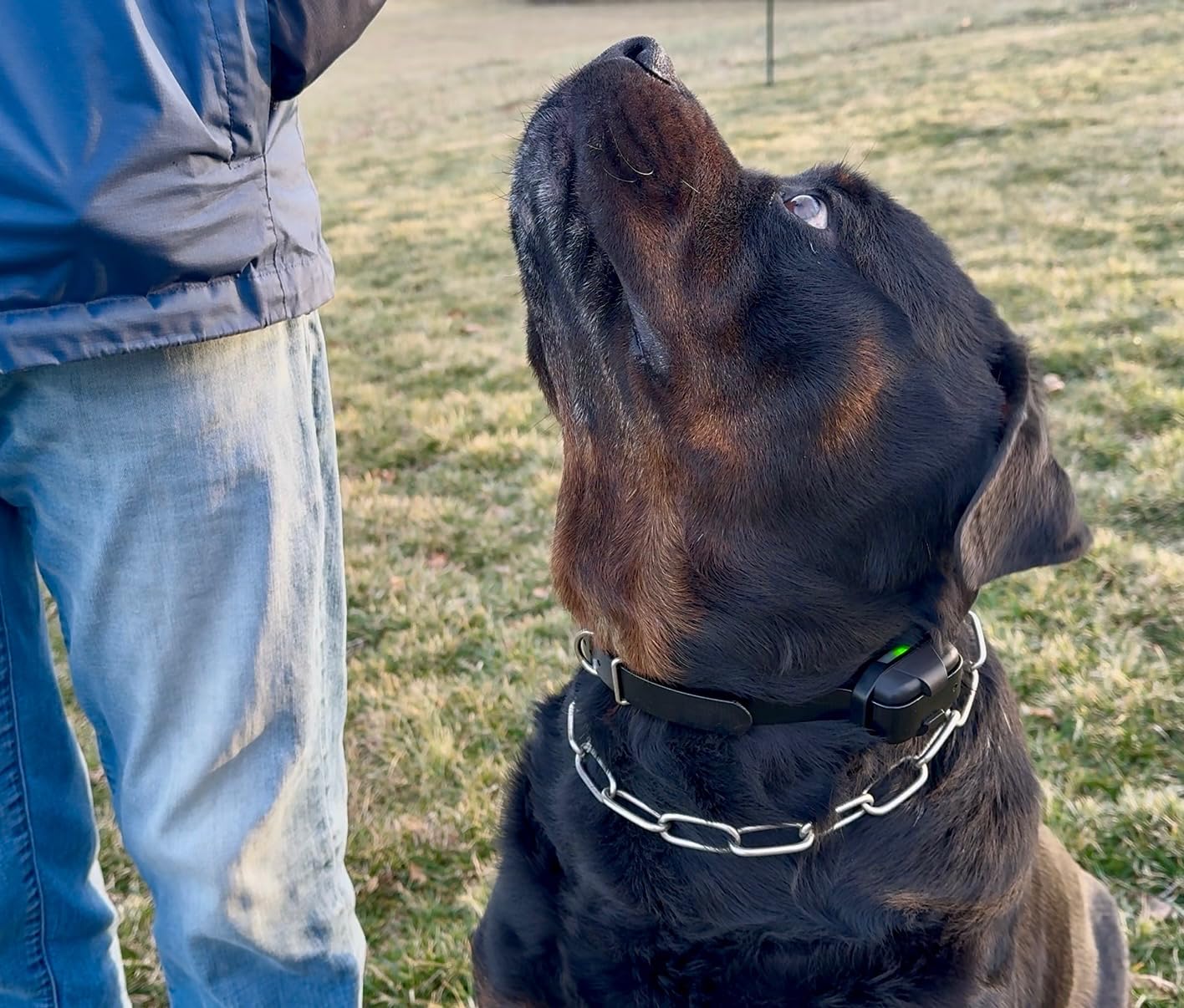 Dogtra 280X E-Collar with Remote [New Edition] 10 lbs+, 1/2 Mile Range, LED Light, 100 Levels of Precise Control for Stubborn Dogs, Waterproof, Boost for Quick Recall, Vibration, Safety Lock & Tone customer photo 2