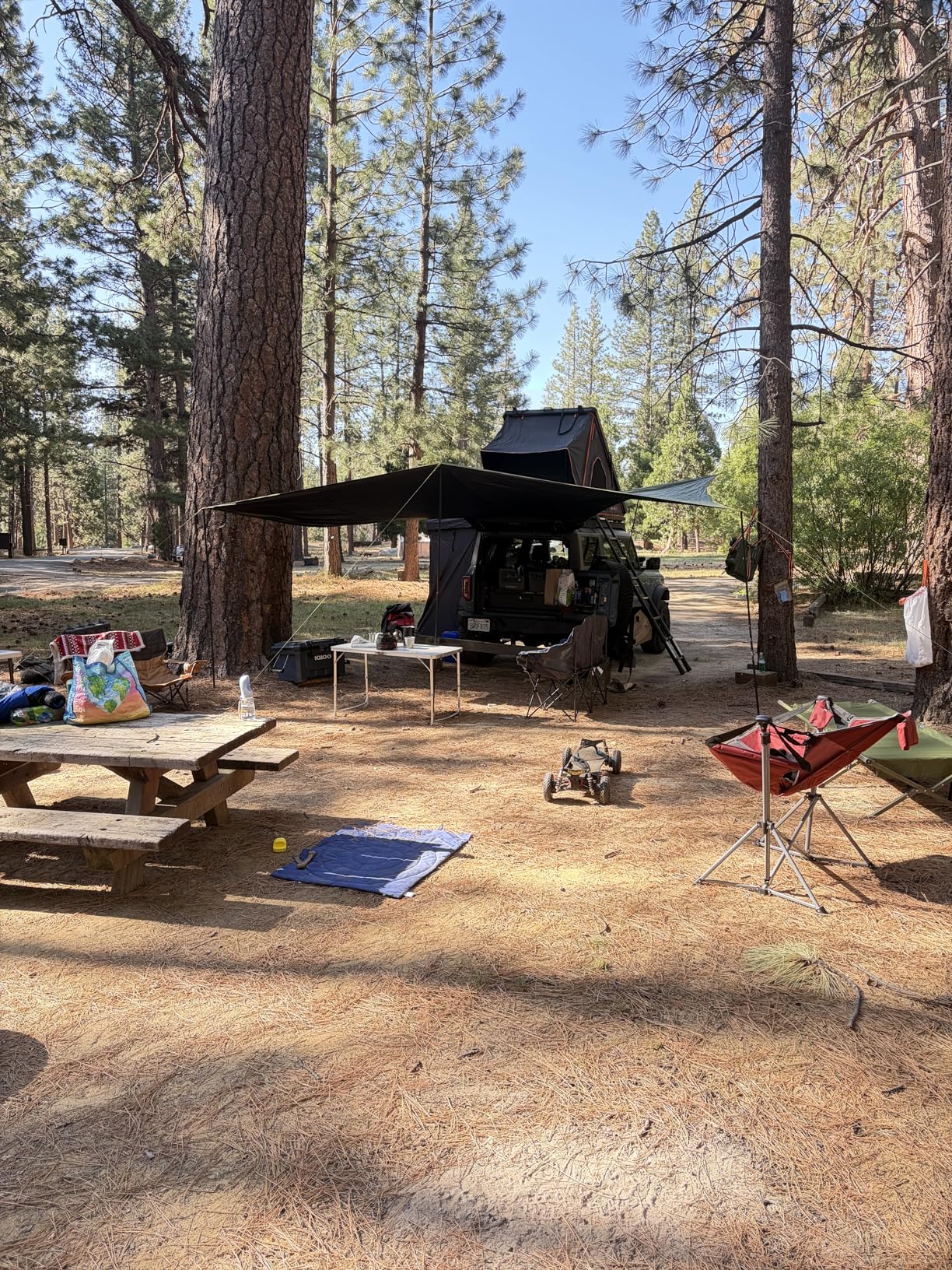 TIMBER RIDGE 19x9.8ft Retractable Vehicle Awning with Blackout Coating Roof Rack Pull-Out Sun Shade Overland Camping customer photo 1