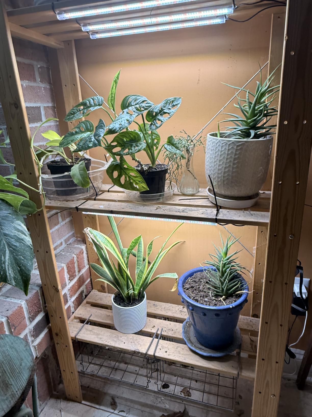 SDOVUERC 16'' 6 Bars Grow Light Strips for Indoor Plants with Auto ON/Off Timer 6/12/18H, 5 Dimmable Levels for Shelves Plant Growing (Pack 1) customer photo 1