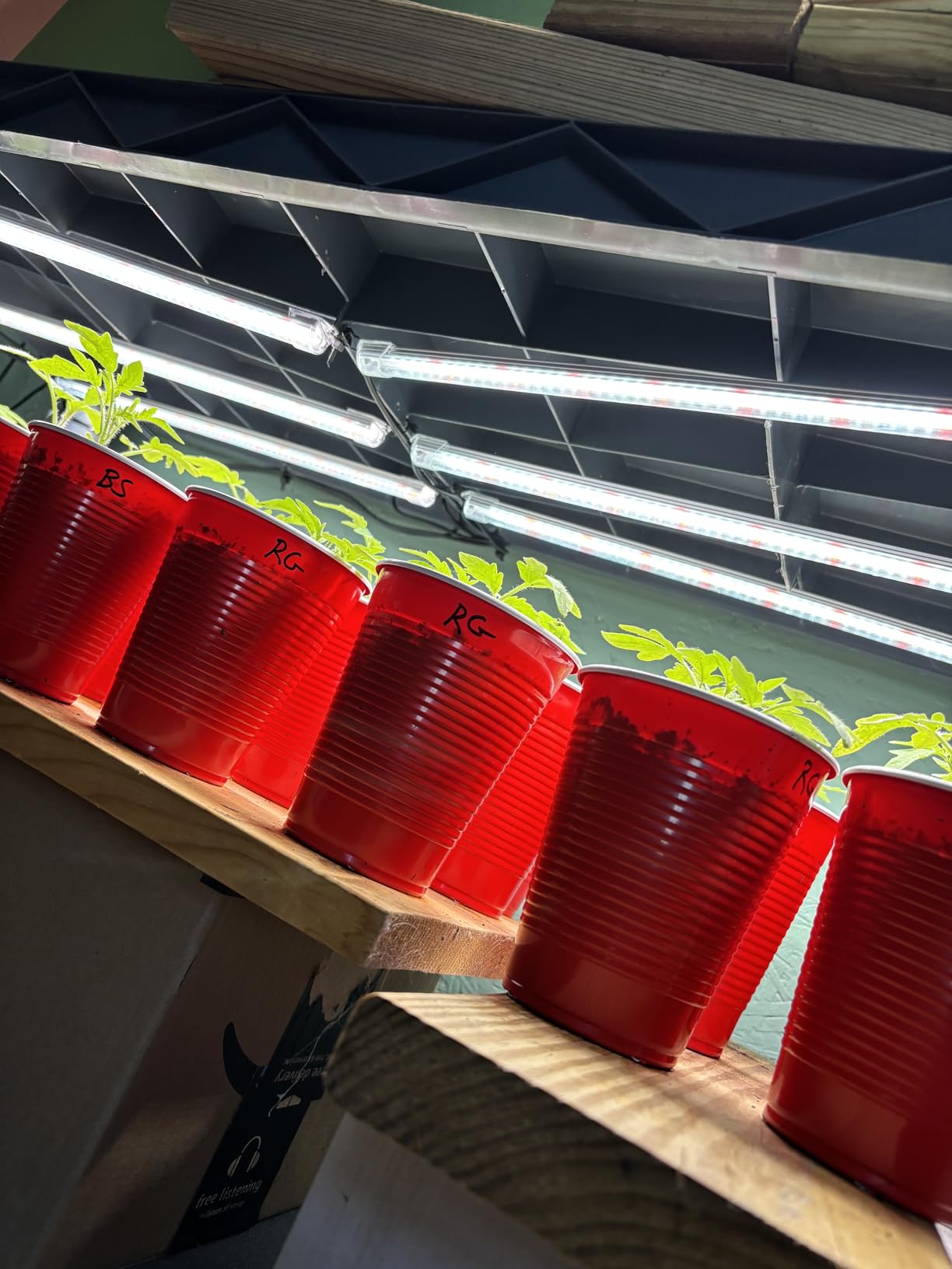 SDOVUERC 16'' 6 Bars Grow Light Strips for Indoor Plants with Auto ON/Off Timer 6/12/18H, 5 Dimmable Levels for Shelves Plant Growing (Pack 1) customer photo 2